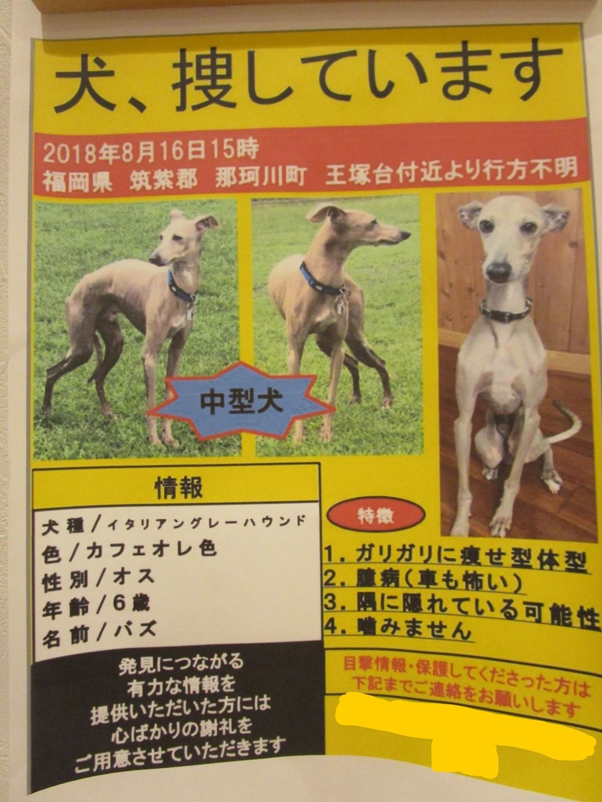 福岡市南区松本まとばフォレスト動物病院 Top 犬 猫のことなら何でもご相談ください