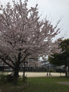 %e3%83%95%e3%82%a1%e3%82%a4%e3%83%ab-2016-09-25-10-14-12